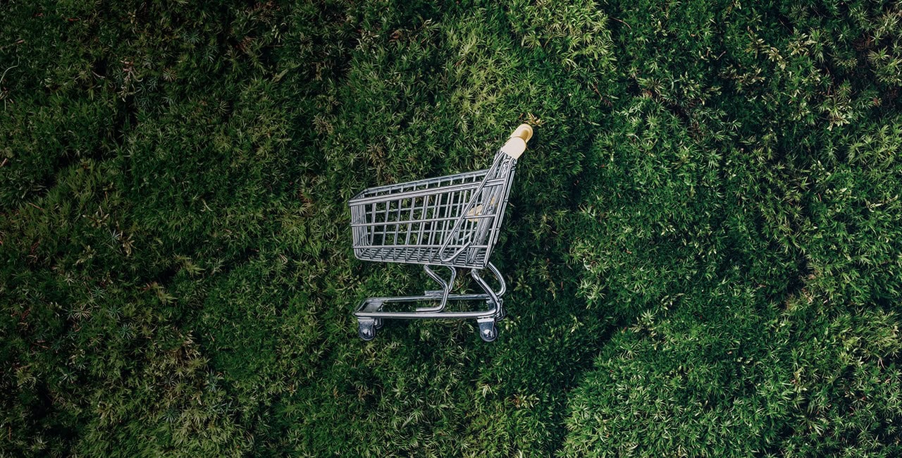 Imagen de un carrito de compras rodeado de naturaleza.