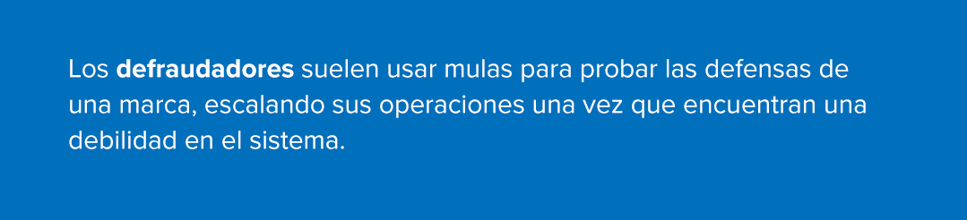 Los defraudadores suelen usar mulas para probar las defensas de una marca, escalando sus operaciones una vez que encuentran una debilidad en el sistema.